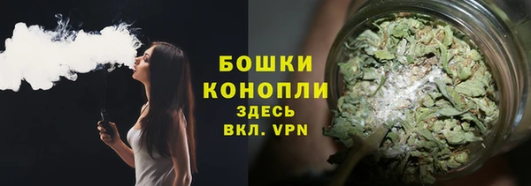 ПСИЛОЦИБИНОВЫЕ ГРИБЫ Арсеньев