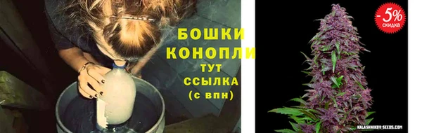 ПСИЛОЦИБИНОВЫЕ ГРИБЫ Арсеньев