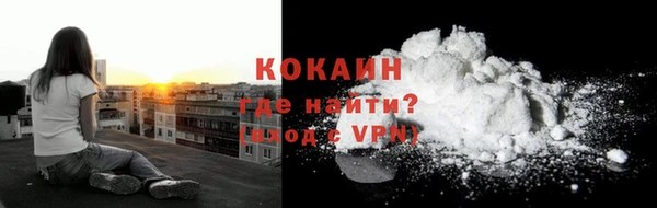 ПСИЛОЦИБИНОВЫЕ ГРИБЫ Арсеньев