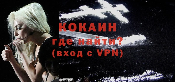 ПСИЛОЦИБИНОВЫЕ ГРИБЫ Арсеньев