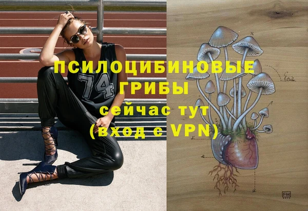 ПСИЛОЦИБИНОВЫЕ ГРИБЫ Арсеньев